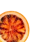 background-3.webp