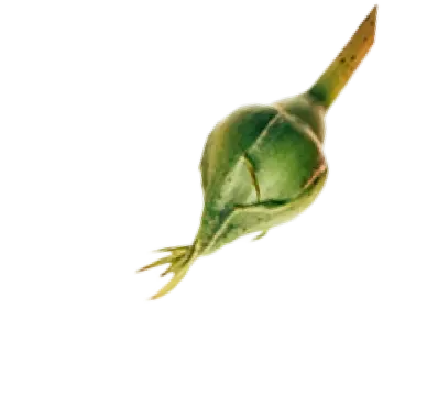 background-3.webp