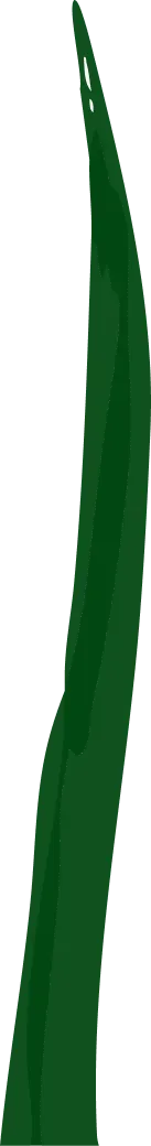 green-ornament-long.webp