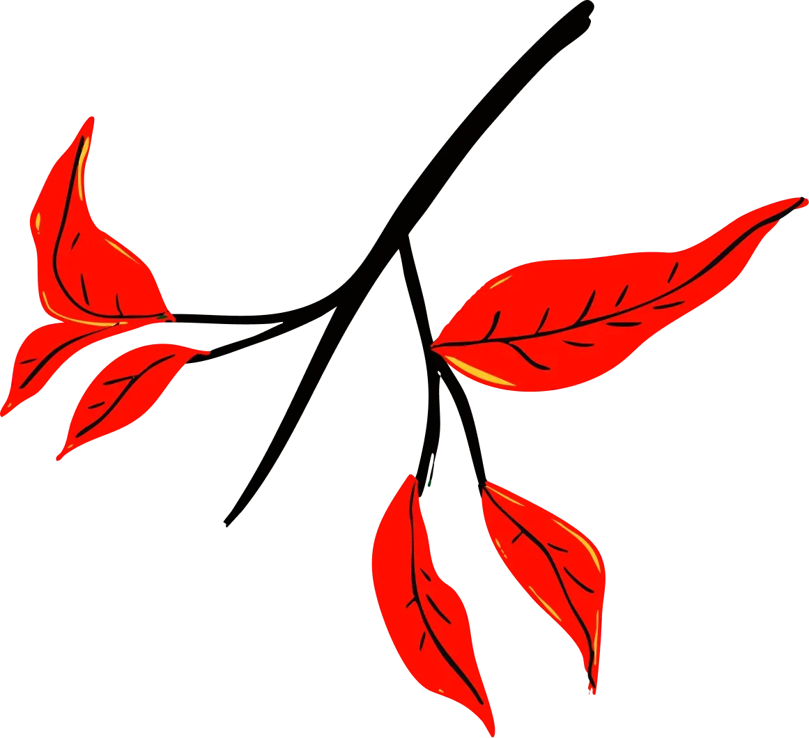 red-leaf.webp